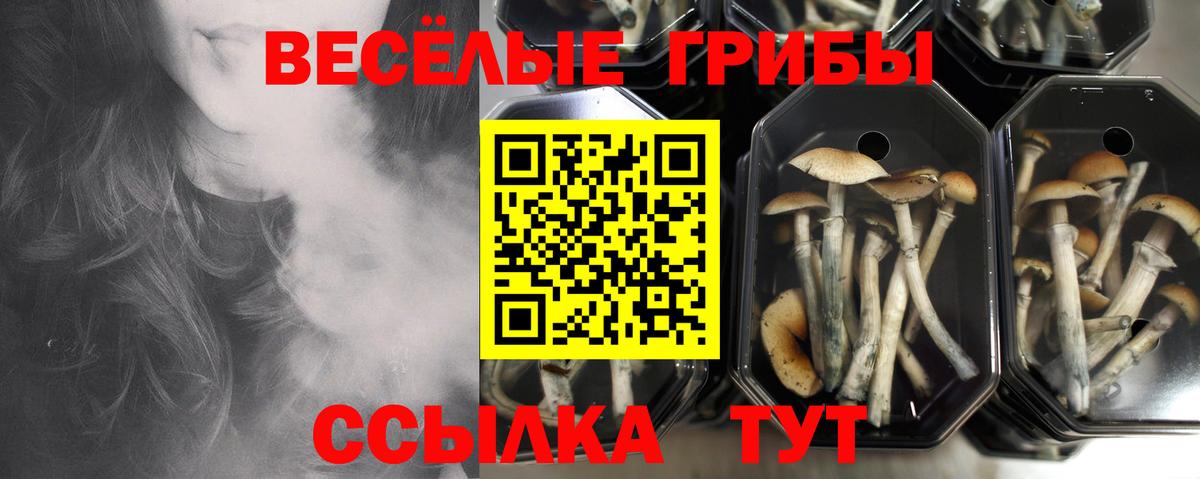 Галлюциногенные грибы прущие грибы  Вход с VPN  Псилоцибиновые грибы GOLDEN TEACHER  Наро-Фоминск 